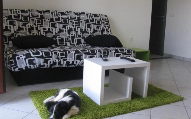 Xena - Comfort and Spacious - A5 Green