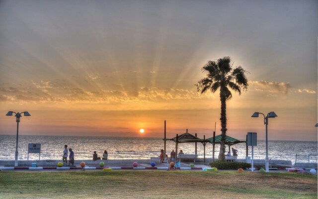 Palm on the Beach