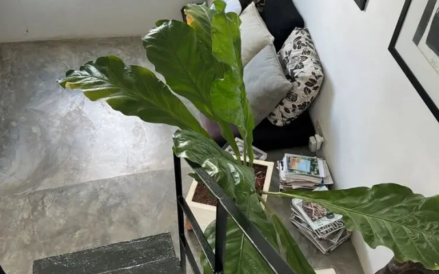 Loft Triplex en Playa Santa Fe