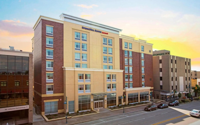 Springhill Suites by Marriott Pittsburgh Mt. Lebanon