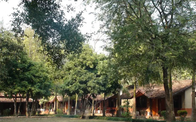 Safari Narayani Hotel- All Inclusive