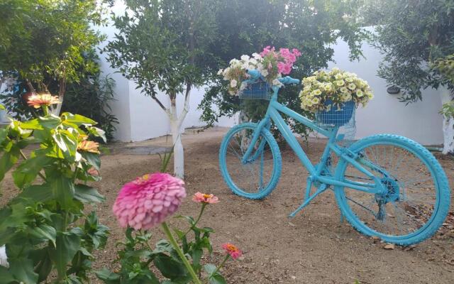 Perivoli 3-Chora(5min away from the center by car)