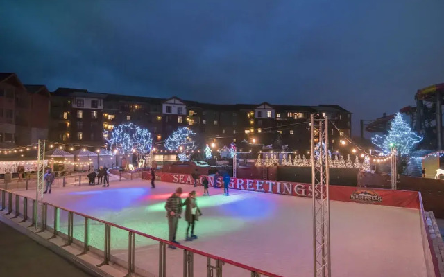 Wilderness at the Smokies - Stone Hill Lodge