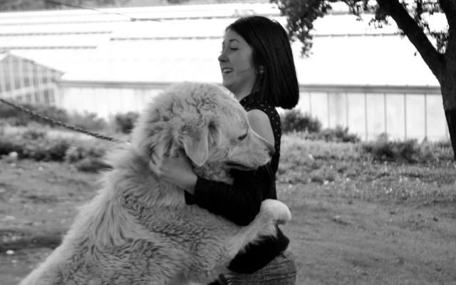 Alba Chiara Agriturismo