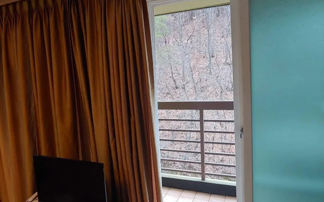 Healingnsajo resort Chungju Suanbo