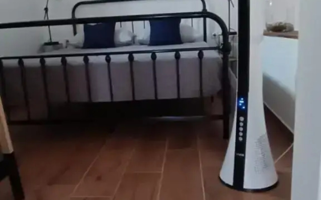 Ružica 2