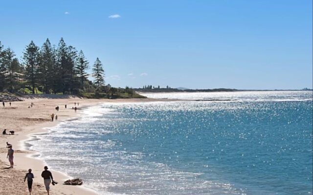 Norfolks on Moffat Beach