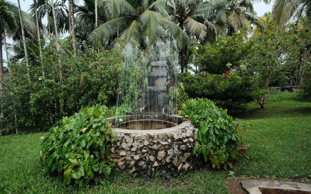 Rainforest Resort