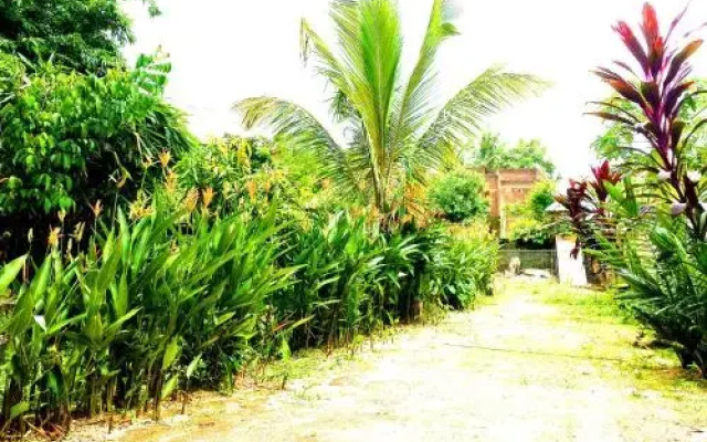 Dr. Mikes Family Ranch