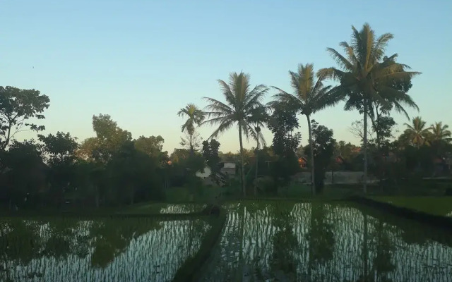 Cendrawasih Bungalows