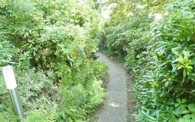 Ferienwohnung am steilen Waldweg