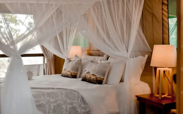 Little Africa Safari Lodge
