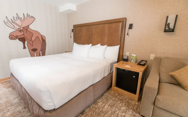 Moose Hotel And Suites