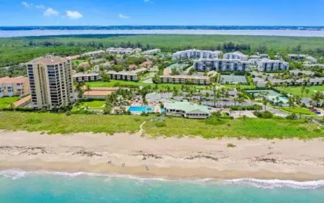 Ocean Village Coral Cluster 1023