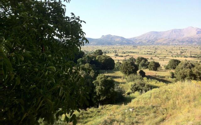 Dionysus Lasithi Plateau