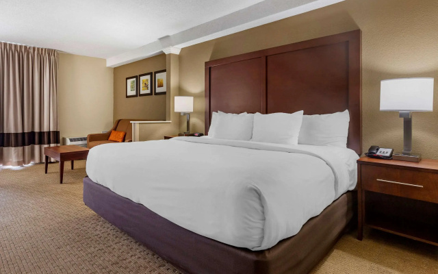 Comfort Inn & Suites near Danville Mall