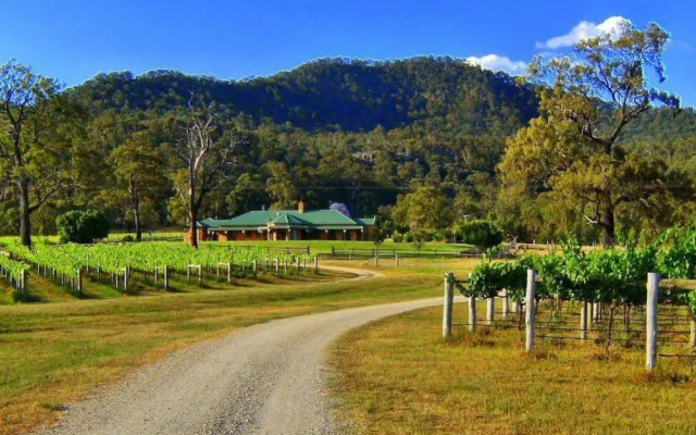 Ascella Organic Wine