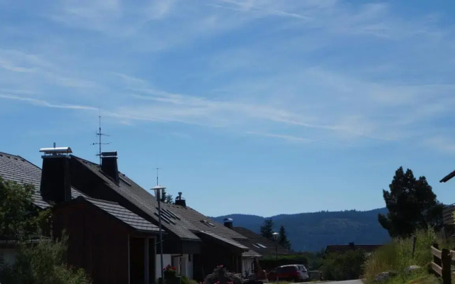 Waldblick