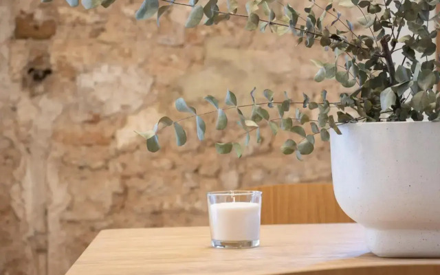 SingularStays Santa Cruz 9