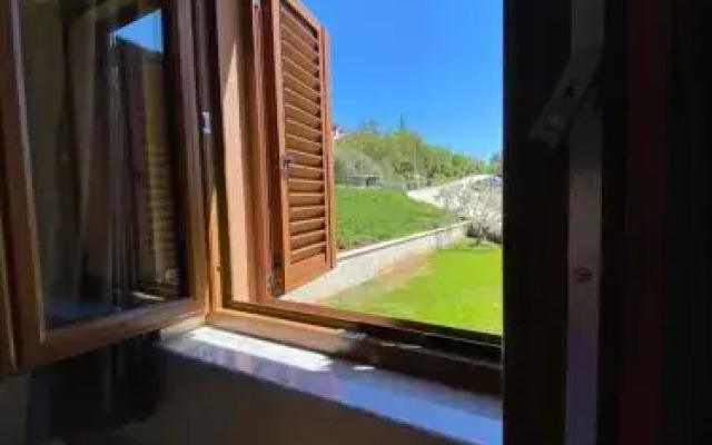 Apartments Braje