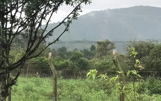 Las Lomitas - Casa de Campo