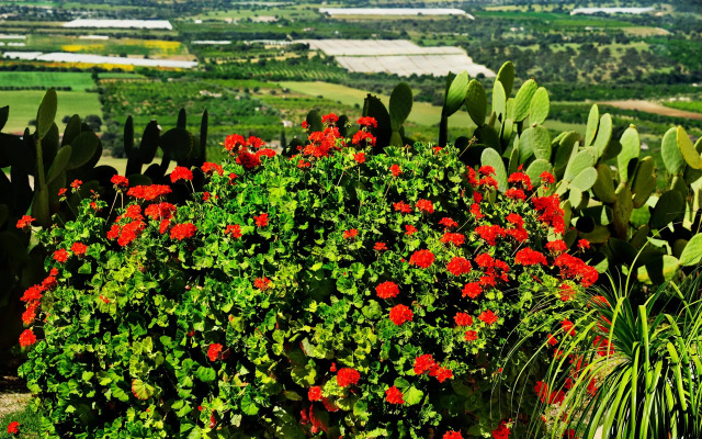 Kallikoros Country Resort & Spa