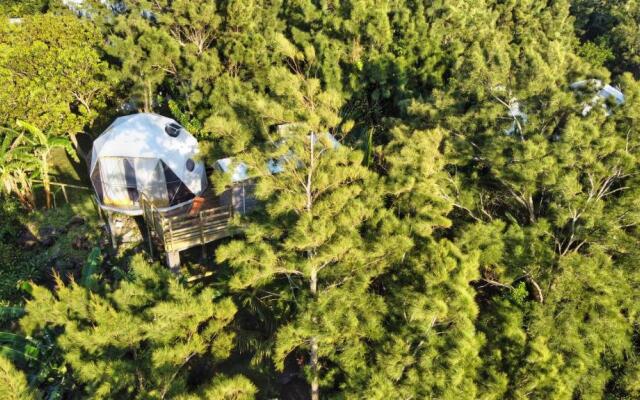 Bubble Dome Village- Glamping