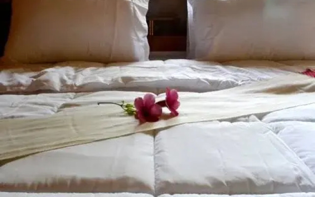 Serene Karen Resort