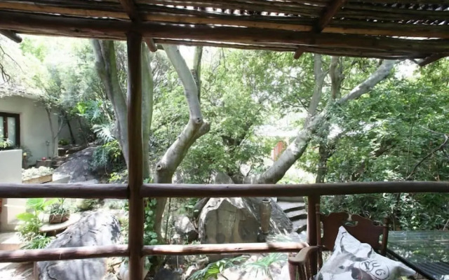 Little Forest Guest House