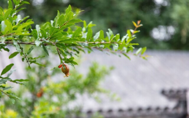 Beijing Pomegranate Yard Homestay