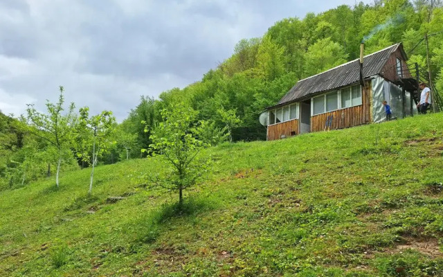 Country house Tara Orasac