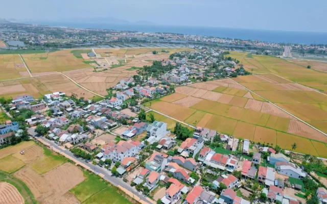 Canh dong homestay