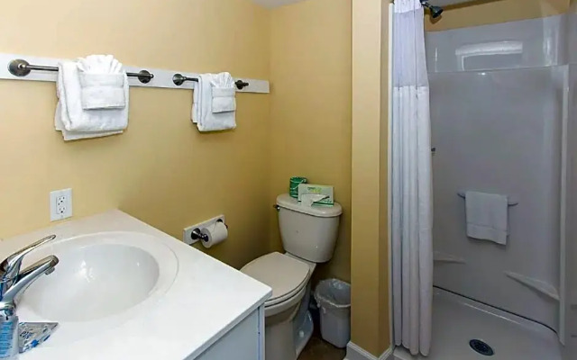 Peppertree By The Sea