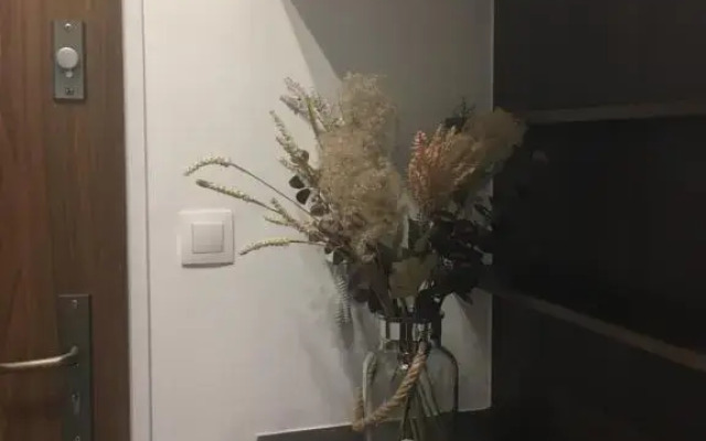 HOME Apartment