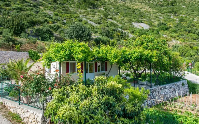 Holiday Home Garden