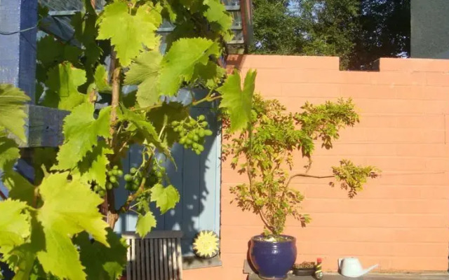 Tangiers Grange B&b