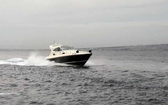 Sorrento Holiday Charter