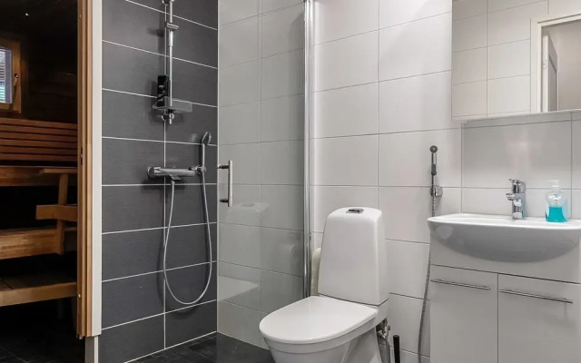 Levin Revontulitaivas e K ng s