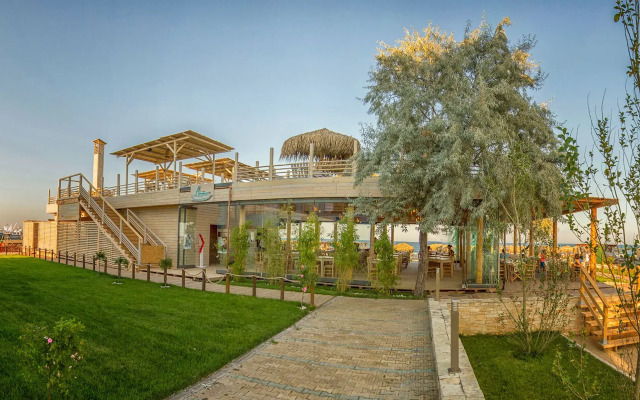 Blue Beach Studios