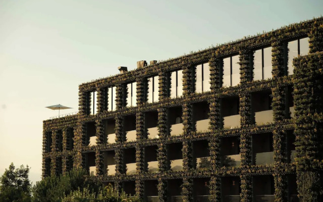 Tsinandali Estate, a Radisson Collection Hotel