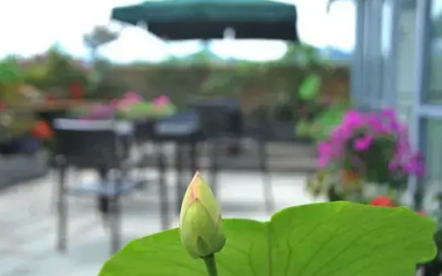 Qingchengshan Town Yunqi B&B