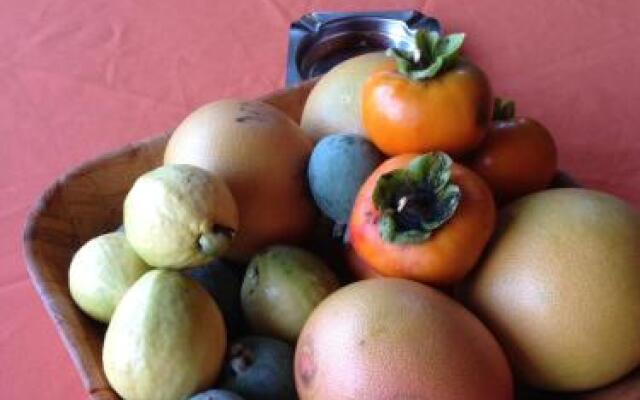 Fruit Scent Chalets