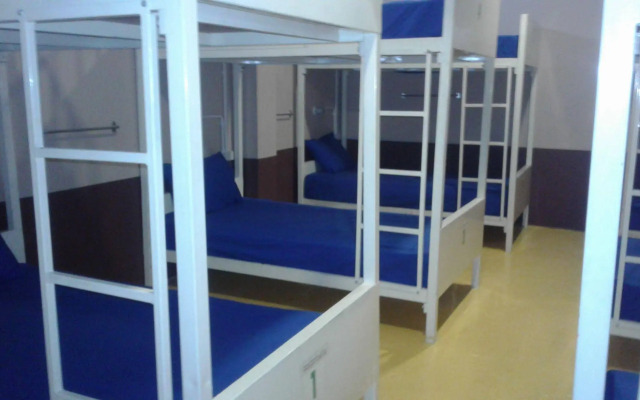 Treechart Hostel