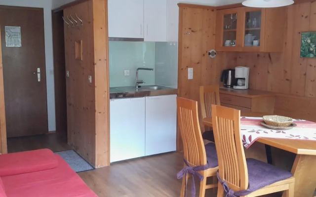 Apartment in Wildschonau by Schatzberg Lift