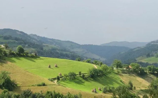 Pasul Caprioarei