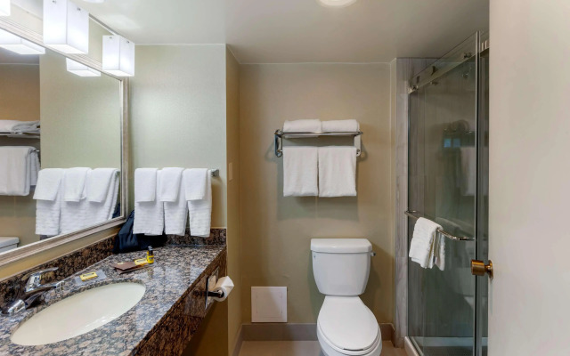 Best Western Plus Toronto Airport Hotel