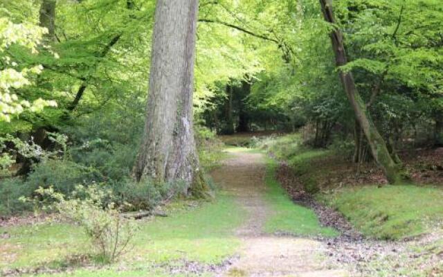 Acorns Of Lyndhurst B&B