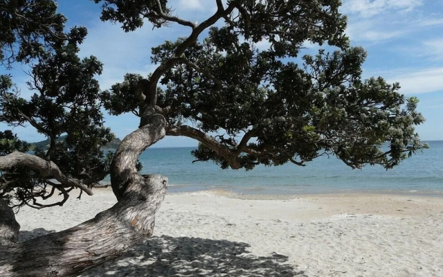 Ted's Cottage near Little Oneroa Beach
