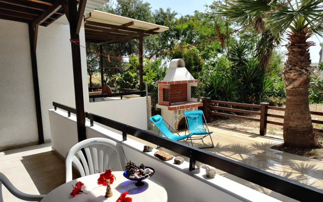 Palm garden paradise