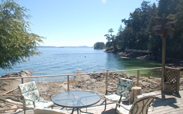 Sea La Vie Rare Peaceful Hidden Gem